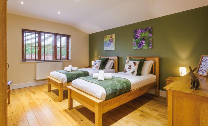 Native wildlife themed bedroom with full size twin beds and wall canvases of bees and butterflies.
